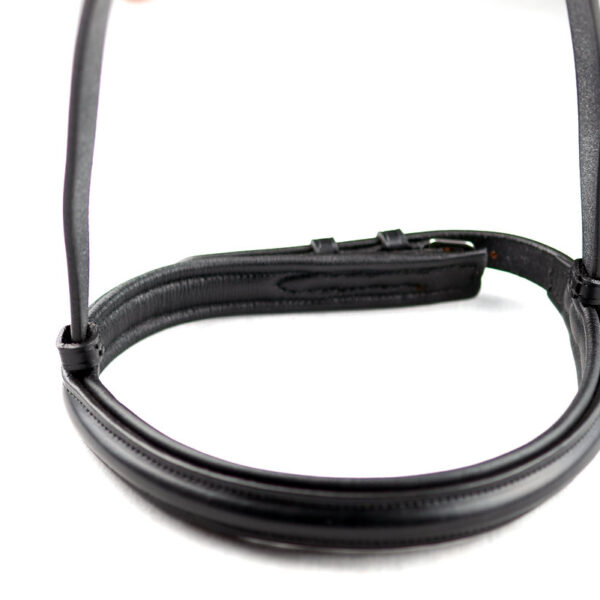 Ascot Comfort Padded Cavesson Show Noseband