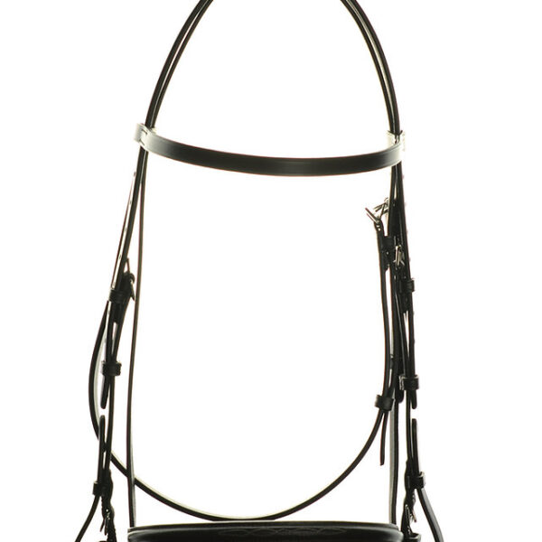Ascot Flat Race Bridle