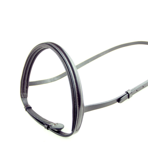Ascot Padded Show Noseband