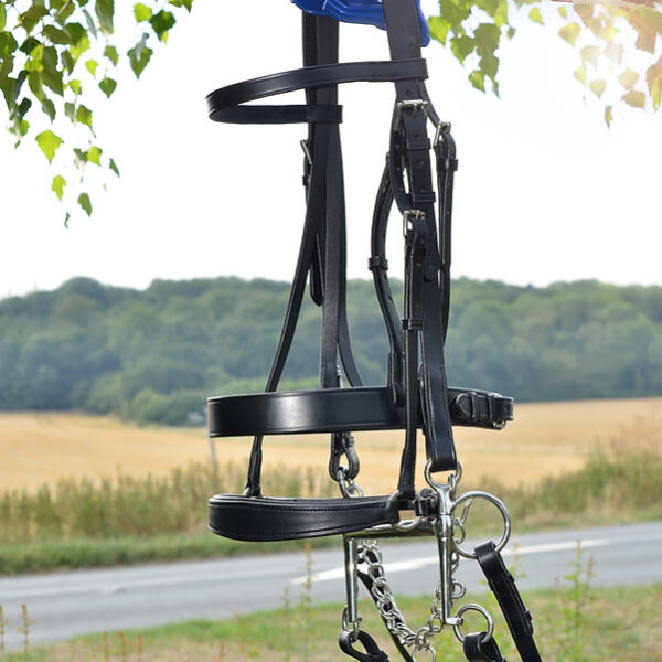 Ascot Polo Set (7 Piece)