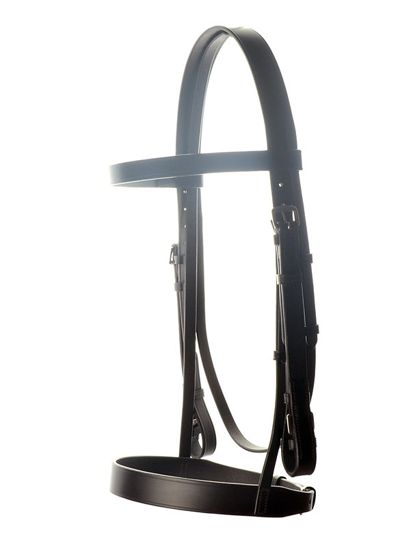 Ascot Race Exercise Bridle - Image 4