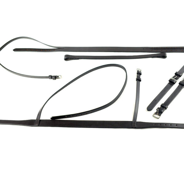 Ascot Race Exercise Bridle