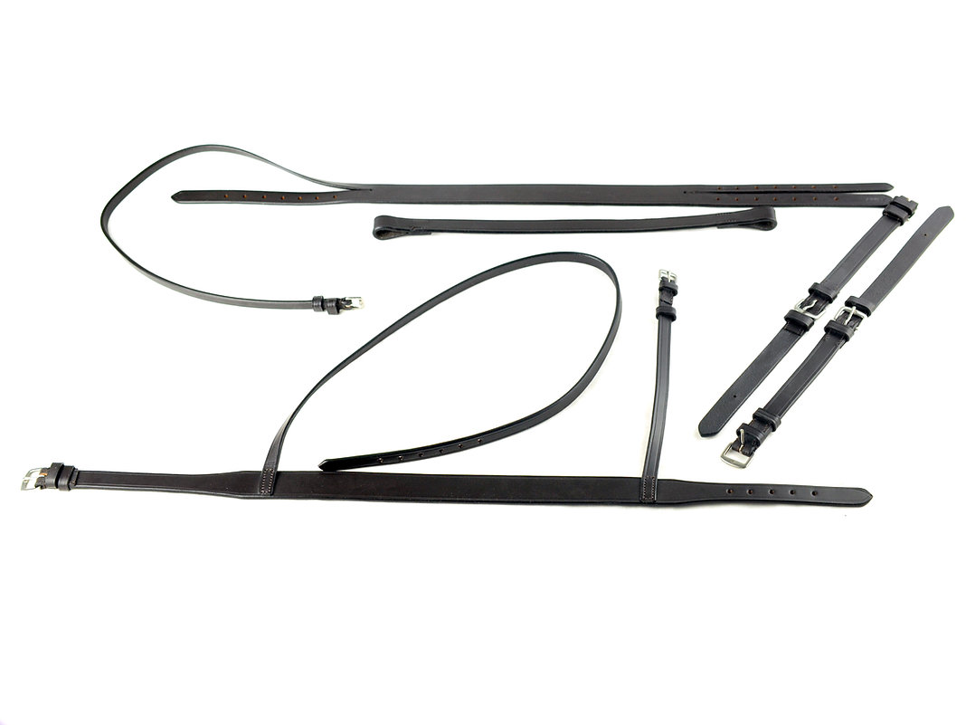 Ascot Race Exercise Bridle - Image 2