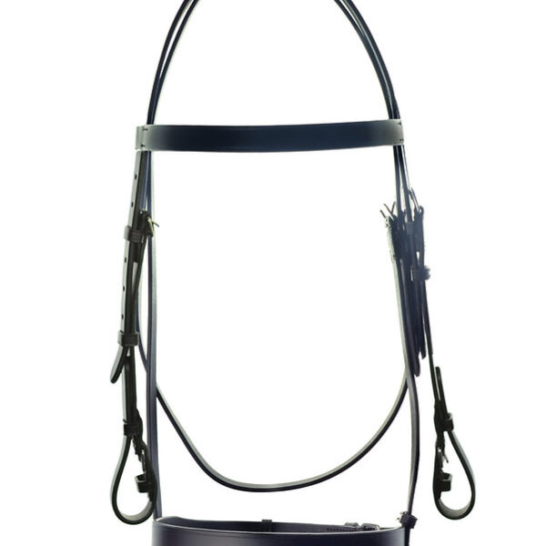 Ascot Race Exercise Bridle