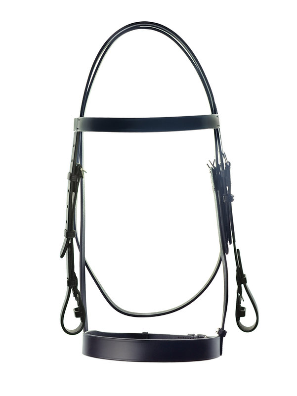 Ascot Race Exercise Bridle