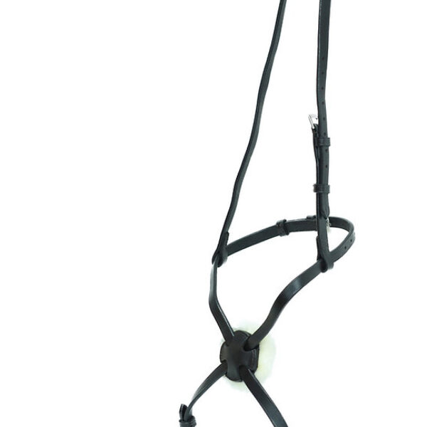 Ascot Sliding Grackle Noseband