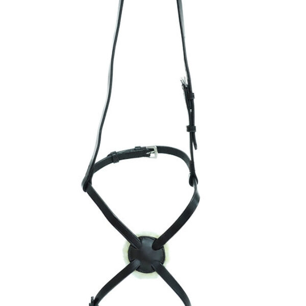 Ascot Sliding Grackle Noseband