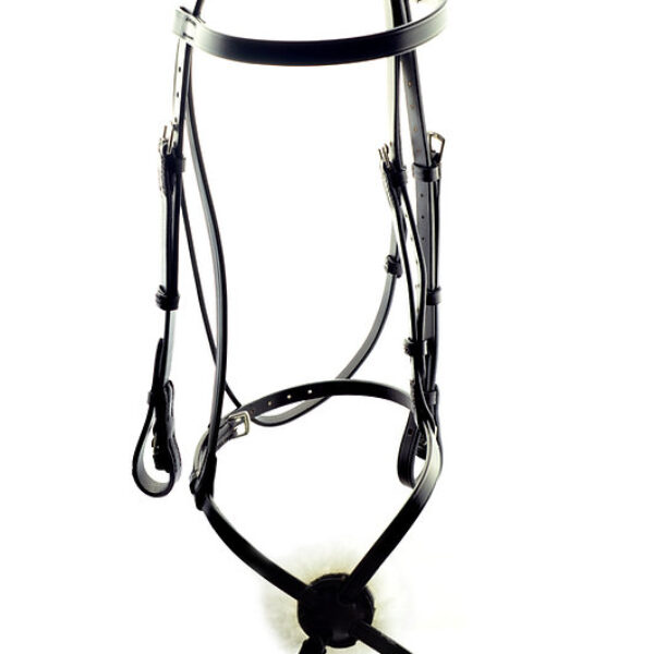 Classic Grackle Race Bridle