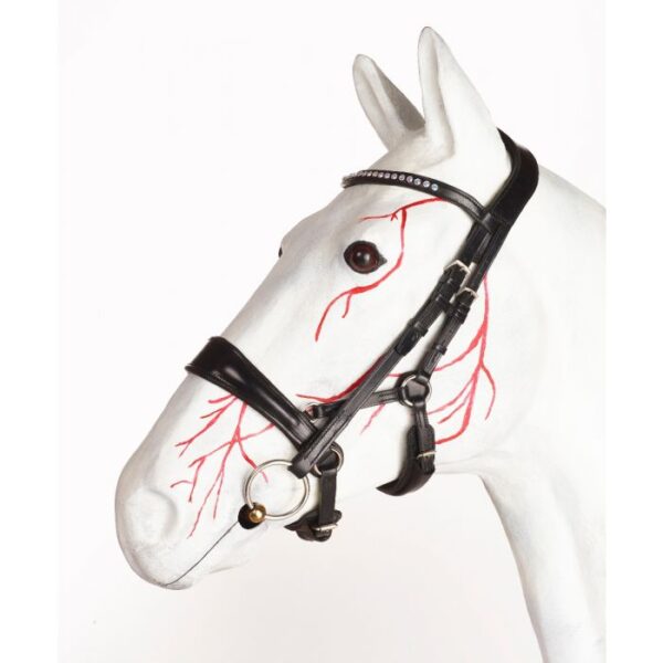 Brida Jeffries Gentle Cavesson – Gama Premium