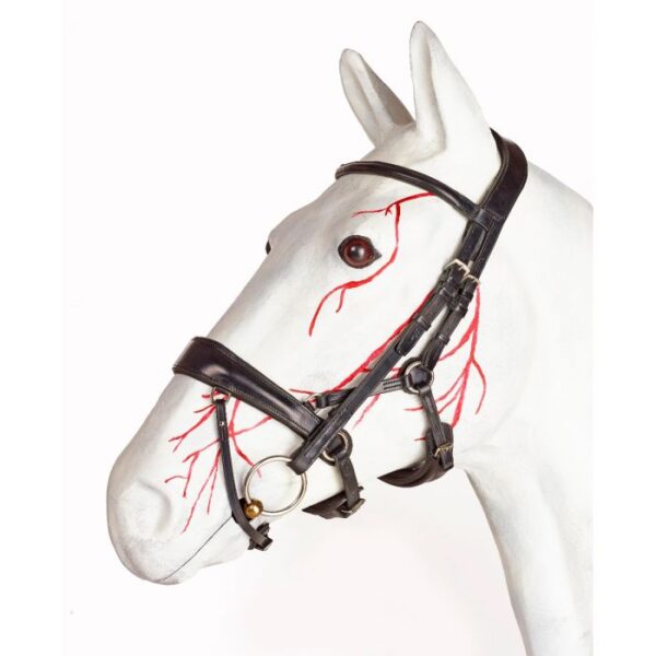 Jeffries Gentle Flash Bridle – Premium Range