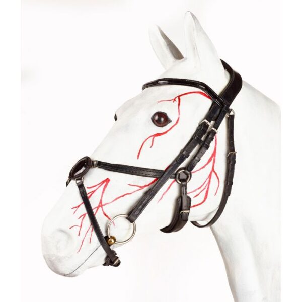 Jeffries Gentle Grackle Bridle – Premium Range