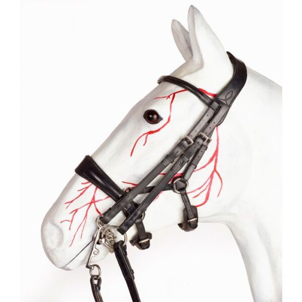 Jeffries Gentle Weymouth Bridle