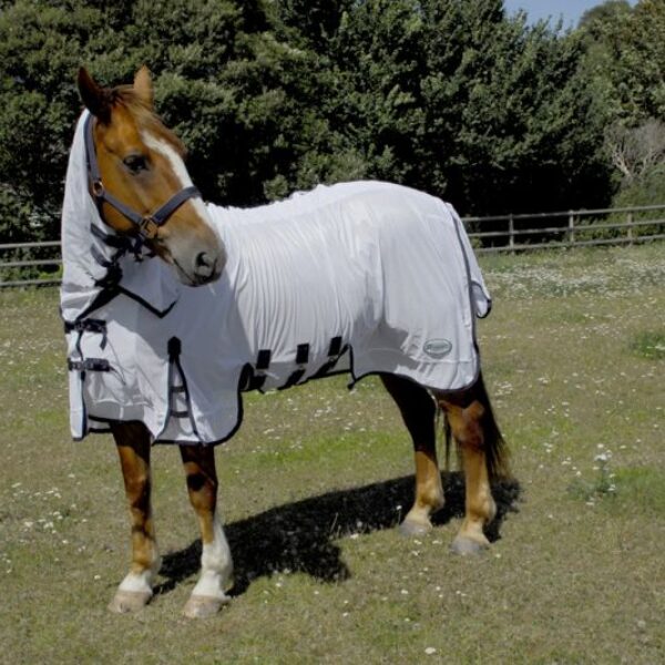 Rhinegold Sahara Full Neck Combo Fly Rug 6´3″