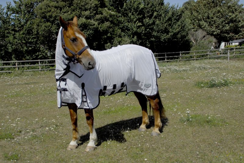Rhinegold Sahara Full Neck Combo Fly Rug 6´3" - Image 2