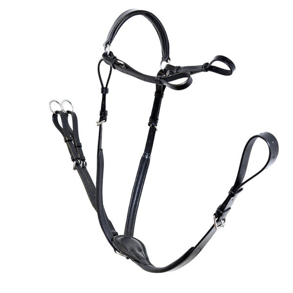 Ascot Comfort Padded Breastplate with Running Attachment