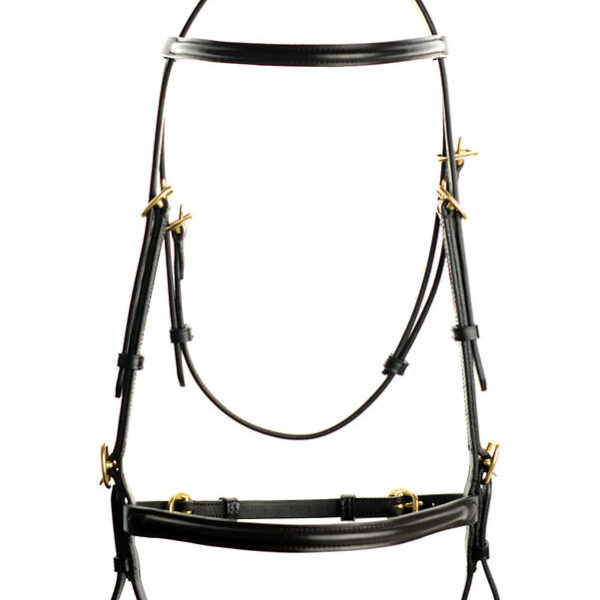 Cabezada Ascot En Mano