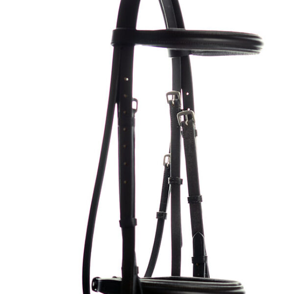 Ascot Padded Flash Bridle