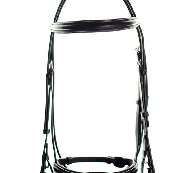 Ascot Padded Flash Bridle