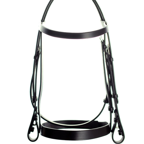 Ascot Plain Bridle
