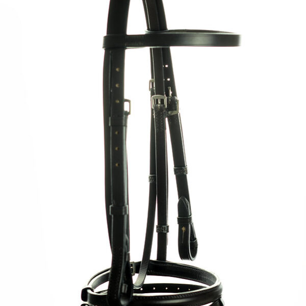 Classic Flash Bridle