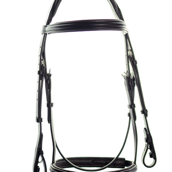 Ascot Comfort Padded Flash Bridle