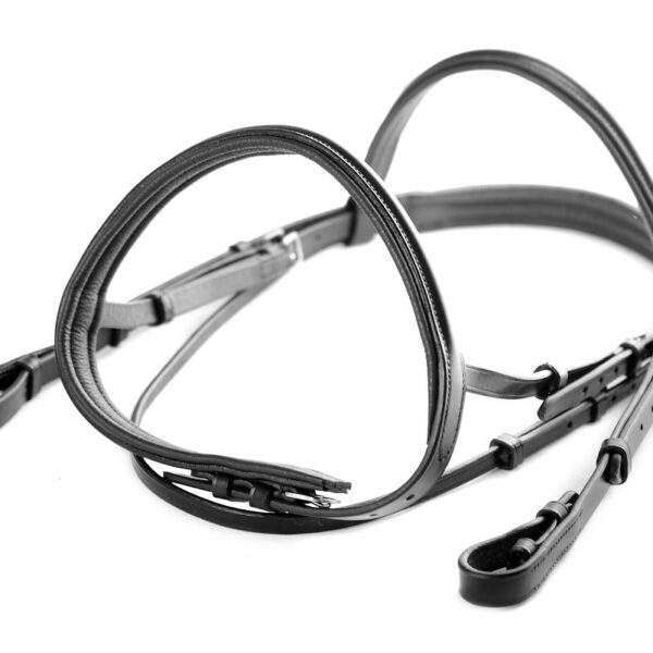 Ascot Comfort Padded Show Bridle