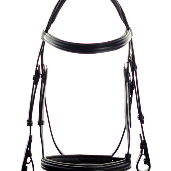 Ascot Comfort Padded Show Bridle
