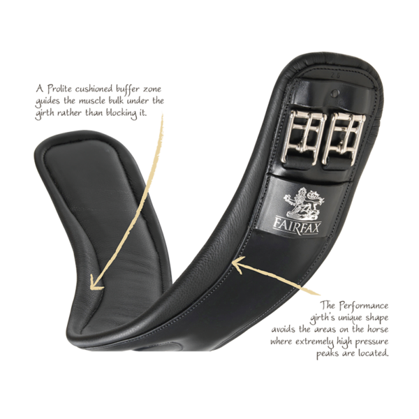 Fairfax Dressage Girth