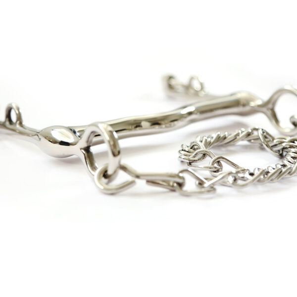 Mejilla fija de Weymouth