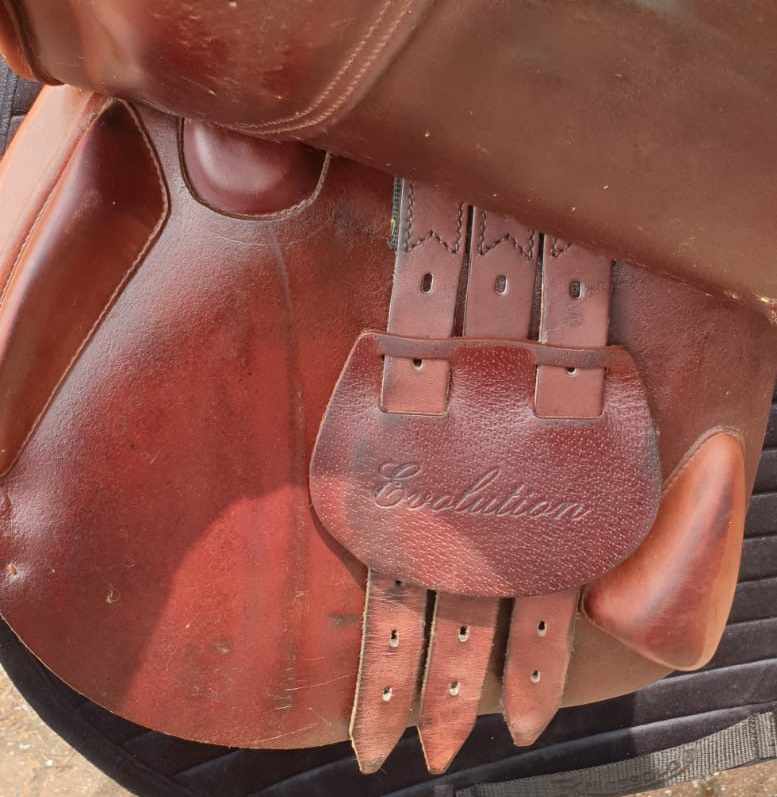 17.5" Sillín de salto mediano Equipe Evolution marrón y marrón - Image 5