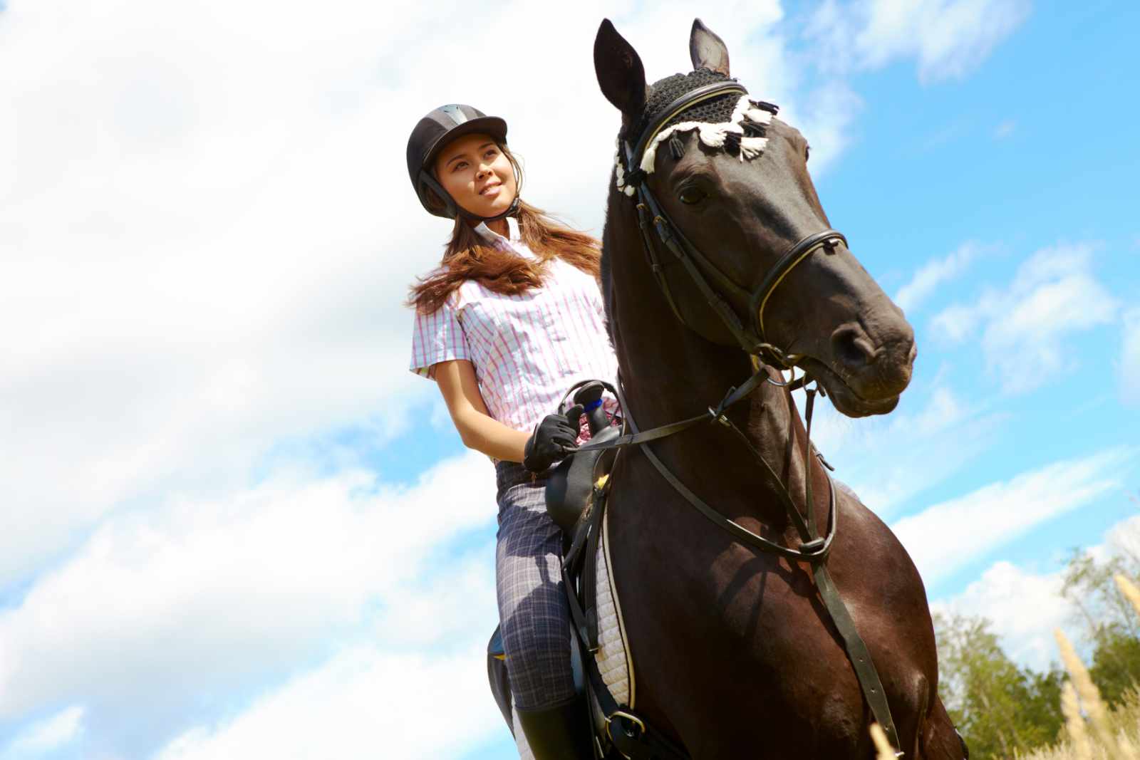 It’s Official – Horses are Good for Us!