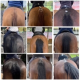 Saddle slips..