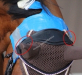 Fly Veils – Equine Comfort and Performance