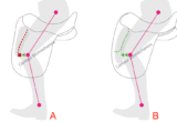Knee Block Design and its Effect on Rider Biomechanics and Equine Locomotion