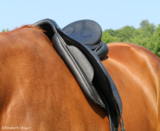 Recognising saddle fitting problems