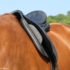How to Body Score Your Horse