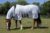 Rhinegold Sahara Full Neck Combo Fly Rug 6´3″