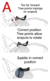 TIP OF THE WEEK