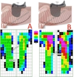 Should we fit saddles wider than industry guidelines?
