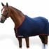 Is your Saddle Fitter Qualified?