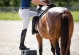 We all use a mounting block. But is it the correct height?
