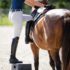 GIRTH PRESSURES AND ITS EFFECT ON EQUINE LOCOMOTION
