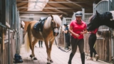 Can Horse People Get Along with each other?