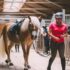 Can Bedding Improve your Horse’s Performance?