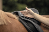 Fitting the Saddle to the Rider