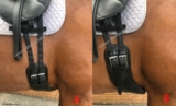 GIRTH BUCKLE HEIGHT – DOES IT MATTER?