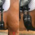 IS THE NOSEBAND THE ONLY CONCERN IN BRIDLE FIT?