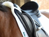 Choose Luxurious Wool for Back Protection for Your Horse