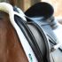 Fitting the Saddle to the Rider