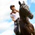 Horses recognise human emotions